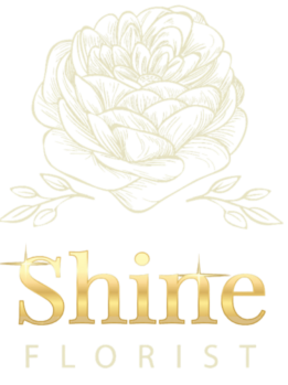 logo-shineflorist